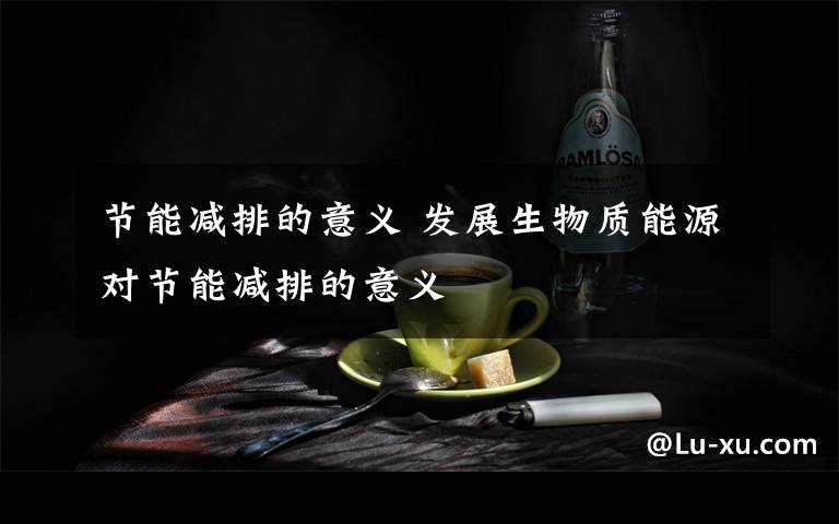 節(jié)能減排的意義 發(fā)展生物質(zhì)能源對(duì)節(jié)能減排的意義