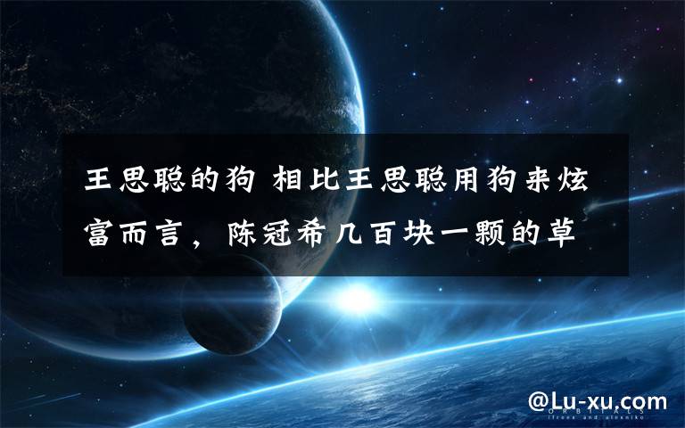 王思聰?shù)墓?相比王思聰用狗來炫富而言，陳冠希幾百塊一顆的草莓才真是吃不起