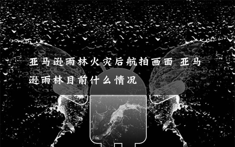 亞馬遜雨林火災后航拍畫面 亞馬遜雨林目前什么情況