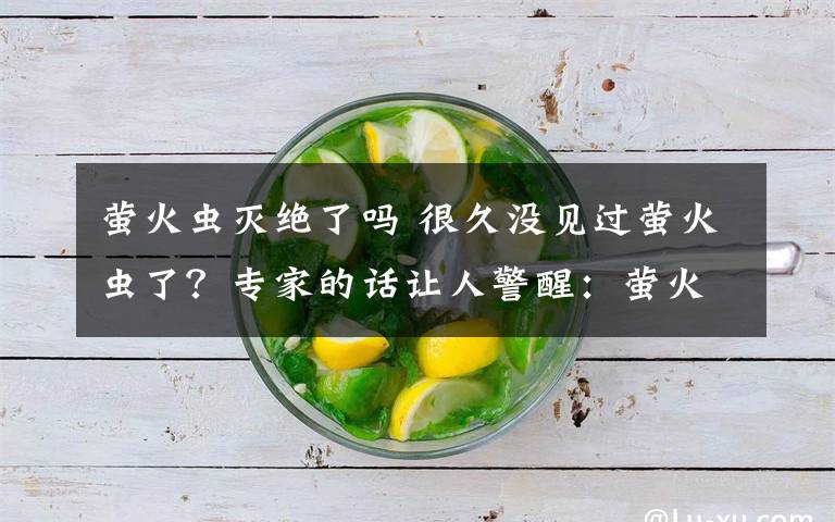 螢火蟲滅絕了嗎 很久沒見過螢火蟲了？專家的話讓人警醒：螢火蟲將滅絕