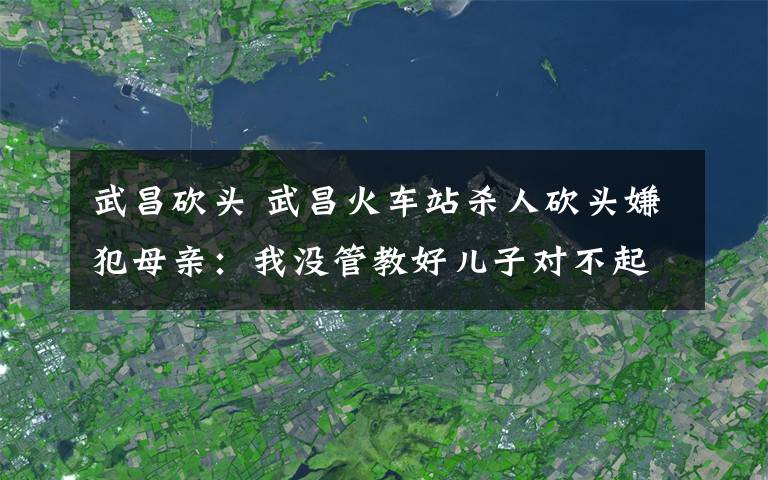 武昌砍頭 武昌火車站殺人砍頭嫌犯母親：我沒管教好兒子對不起