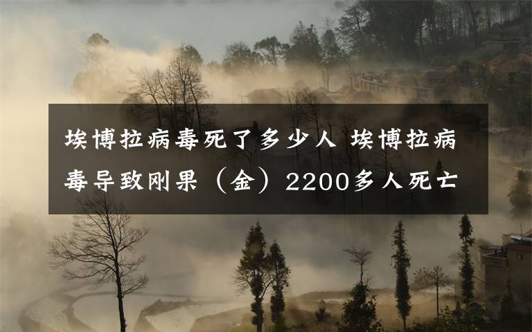 埃博拉病毒死了多少人 埃博拉病毒導(dǎo)致剛果（金）2200多人死亡