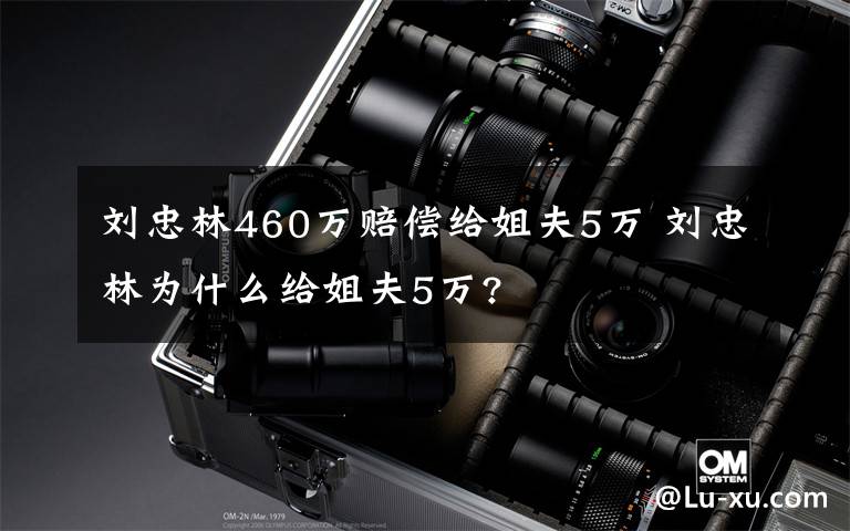 劉忠林460萬賠償給姐夫5萬 劉忠林為什么給姐夫5萬?