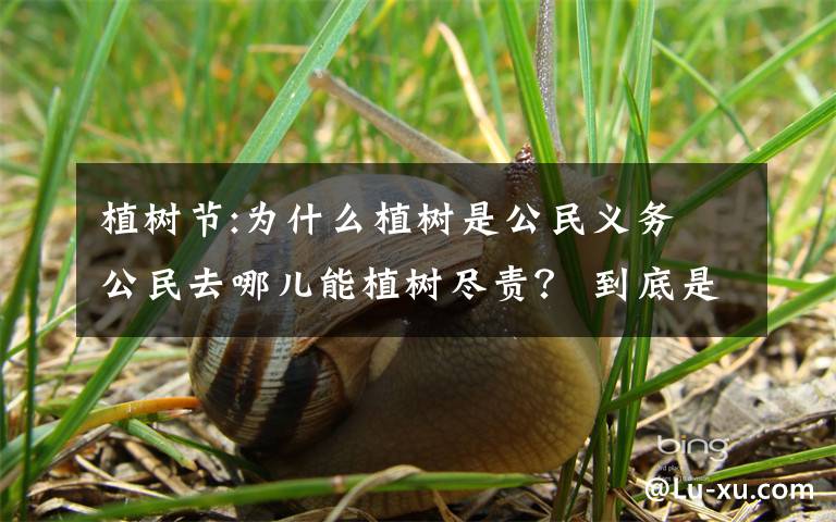 植樹節(jié):為什么植樹是公民義務(wù) 公民去哪兒能植樹盡責(zé)？ 到底是什么狀況？