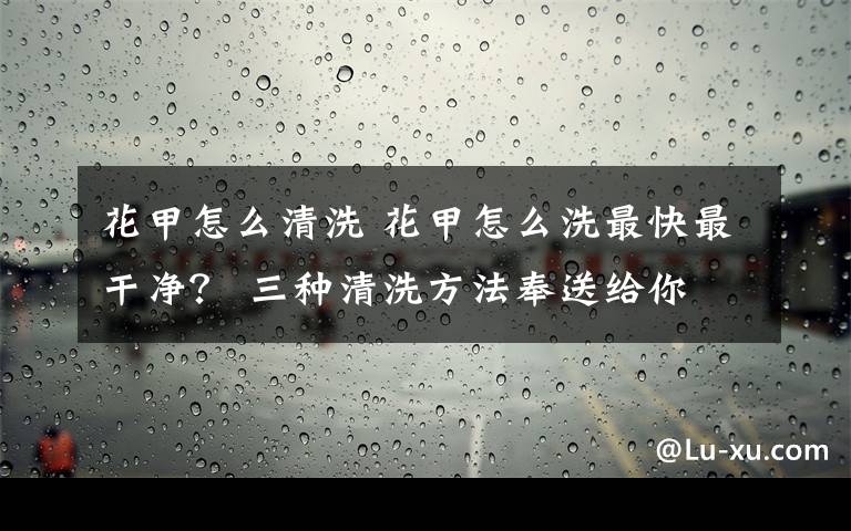 花甲怎么清洗 花甲怎么洗最快最干凈？ 三種清洗方法奉送給你