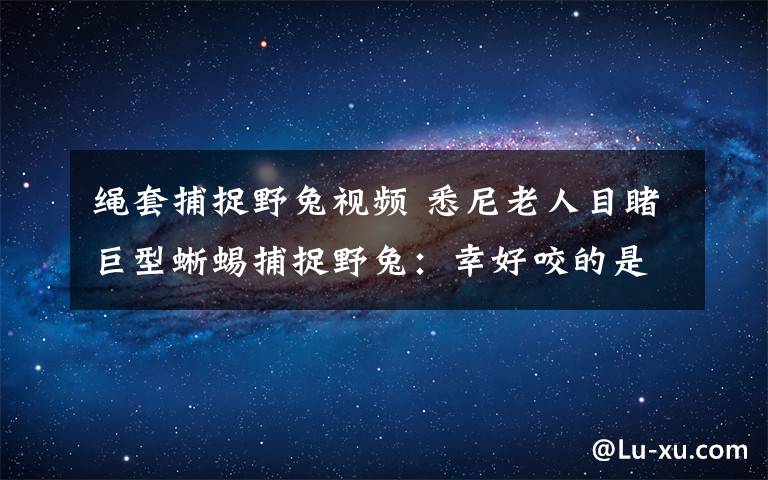 繩套捕捉野兔視頻 悉尼老人目睹巨型蜥蜴捕捉野兔：幸好咬的是兔腿