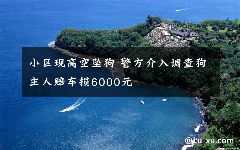 小區(qū)現(xiàn)高空墜狗 警方介入調(diào)查狗主人賠車損6000元