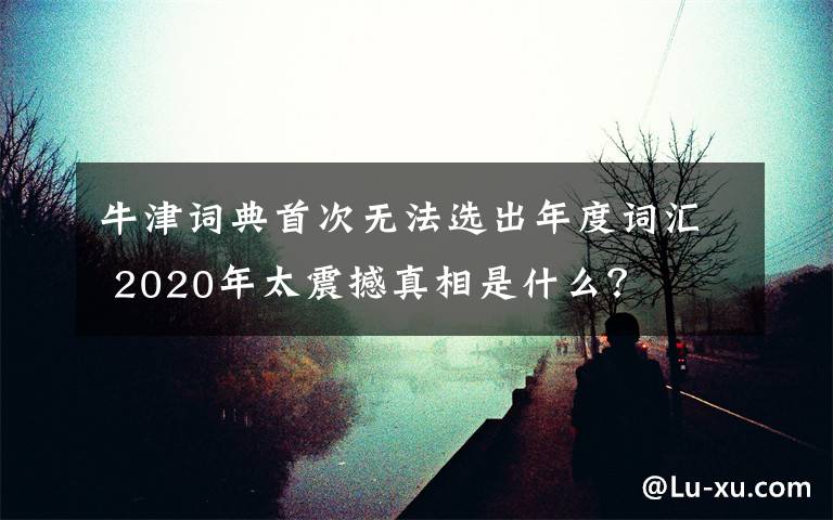 牛津詞典首次無法選出年度詞匯 2020年太震撼真相是什么？