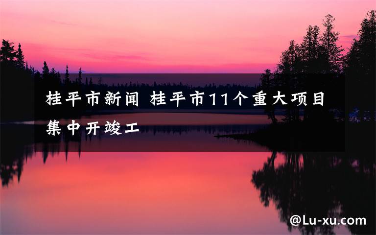 桂平市新聞 桂平市11個(gè)重大項(xiàng)目集中開竣工