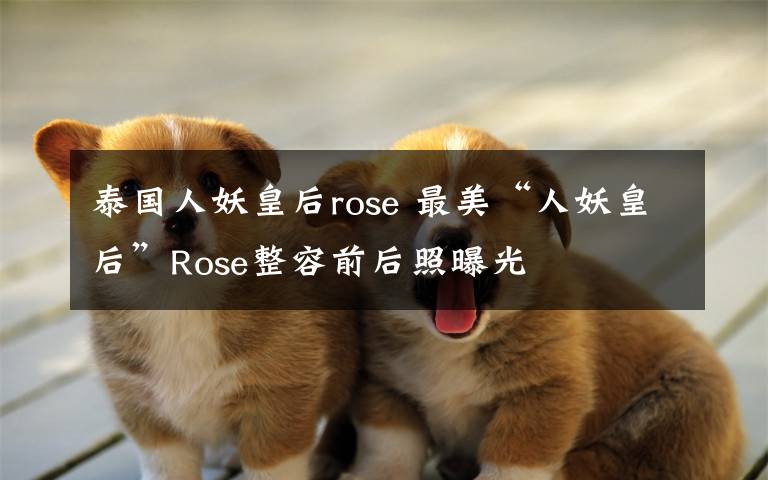 泰國人妖皇后rose 最美“人妖皇后”Rose整容前后照曝光