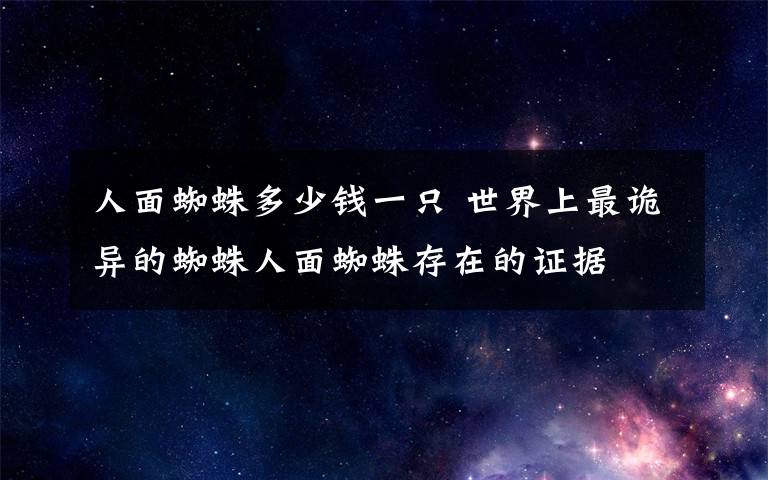 人面蜘蛛多少錢一只 世界上最詭異的蜘蛛人面蜘蛛存在的證據(jù)