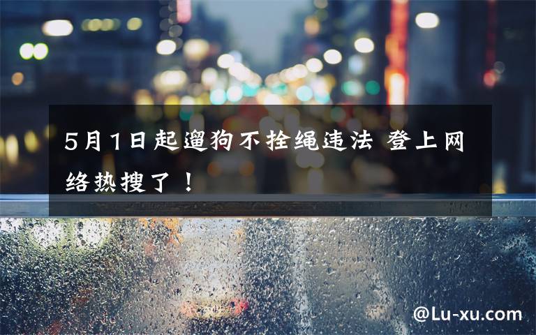 5月1日起遛狗不拴繩違法 登上網(wǎng)絡熱搜了！