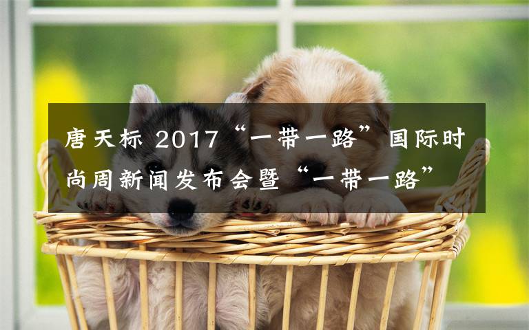 唐天標(biāo) 2017“一帶一路”國際時尚周新聞發(fā)布會暨“一帶一路”時尚文化產(chǎn)業(yè)高峰論壇在京舉行