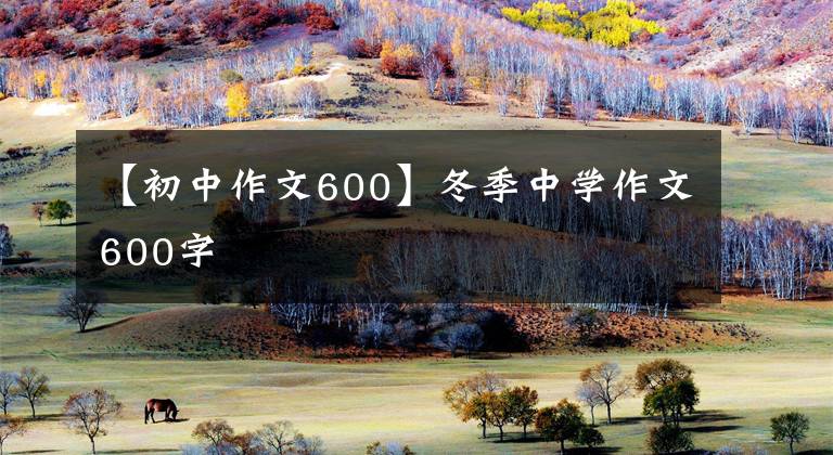 【初中作文600】冬季中學(xué)作文600字