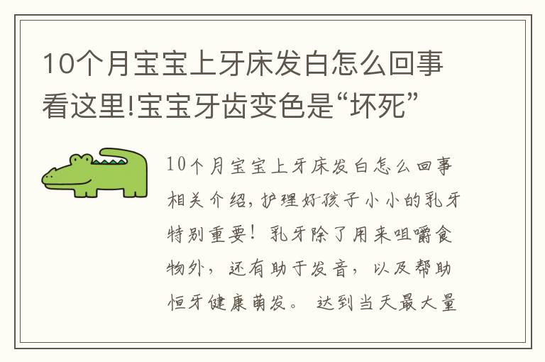 10個月寶寶上牙床發(fā)白怎么回事看這里!寶寶牙齒變色是“壞死”？關于乳牙10個小秘密，一定有你不知道的