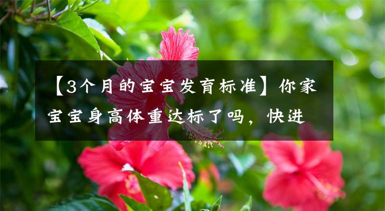 【3個(gè)月的寶寶發(fā)育標(biāo)準(zhǔn)】你家寶寶身高體重達(dá)標(biāo)了嗎，快進(jìn)來(lái)看看