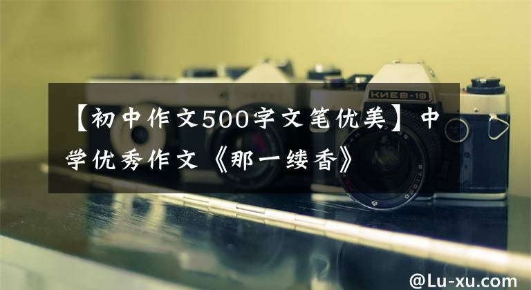 【初中作文500字文筆優(yōu)美】中學(xué)優(yōu)秀作文《那一縷香》