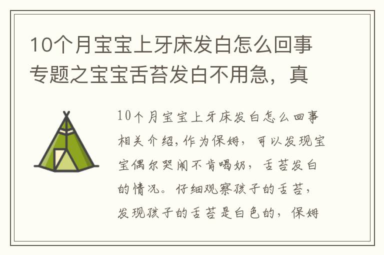 10個月寶寶上牙床發(fā)白怎么回事專題之寶寶舌苔發(fā)白不用急，真相可能是這樣的