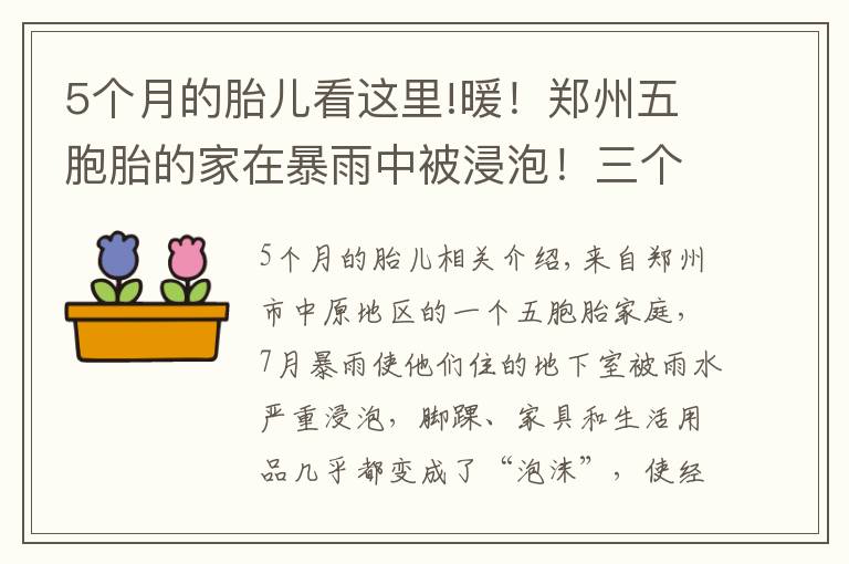 5個月的胎兒看這里!暖！鄭州五胞胎的家在暴雨中被浸泡！三個月后，大變樣了……