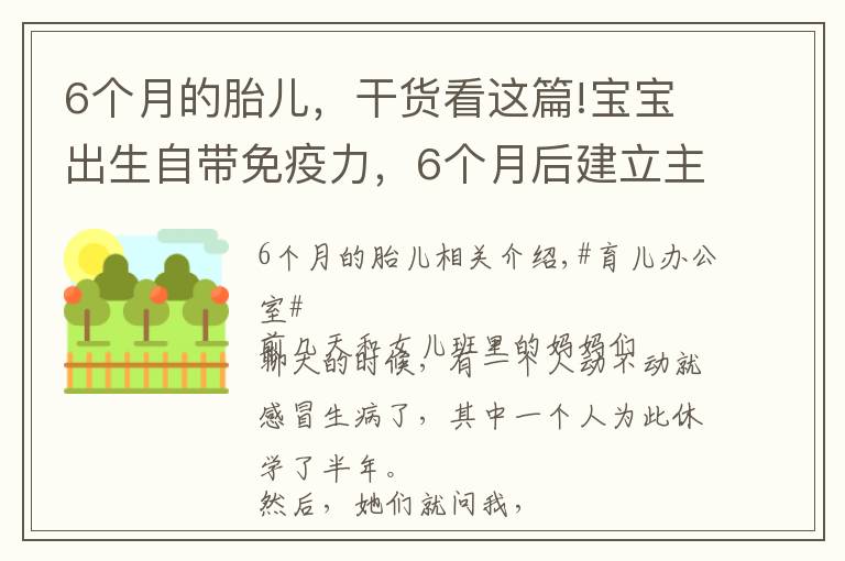 6個(gè)月的胎兒，干貨看這篇!寶寶出生自帶免疫力，6個(gè)月后建立主動(dòng)式免疫，幾種營(yíng)養(yǎng)素不可缺