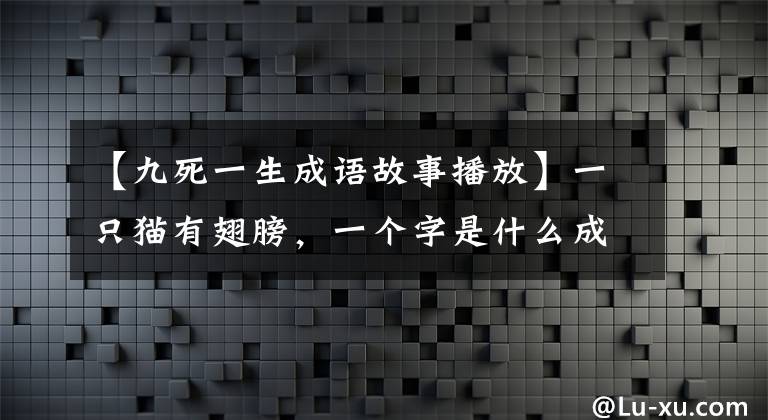 【九死一生成語故事播放】一只貓有翅膀，一個字是什么成語，九死生活了下來。