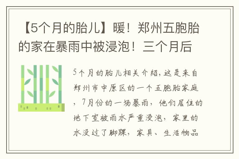 【5個月的胎兒】暖！鄭州五胞胎的家在暴雨中被浸泡！三個月后，大變樣了……