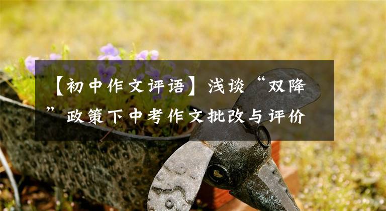 【初中作文評(píng)語(yǔ)】淺談“雙降”政策下中考作文批改與評(píng)價(jià)