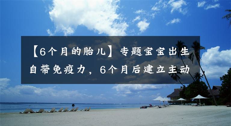 【6個月的胎兒】專題寶寶出生自帶免疫力，6個月后建立主動式免疫，幾種營養(yǎng)素不可缺