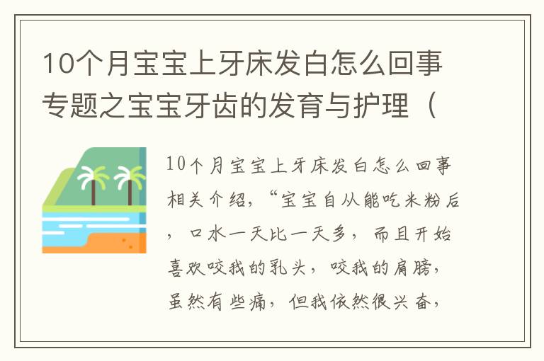 10個月寶寶上牙床發(fā)白怎么回事專題之寶寶牙齒的發(fā)育與護(hù)理（上）