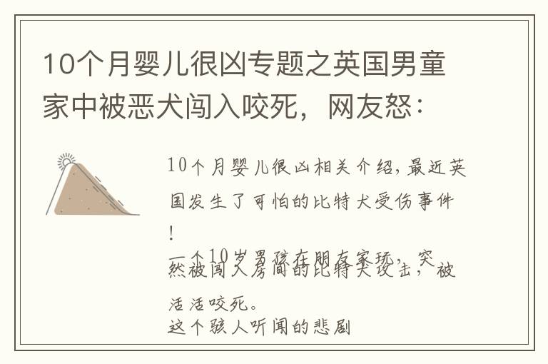 10個月嬰兒很兇專題之英國男童家中被惡犬闖入咬死，網(wǎng)友怒：這種猛犬為什么還不禁養(yǎng)