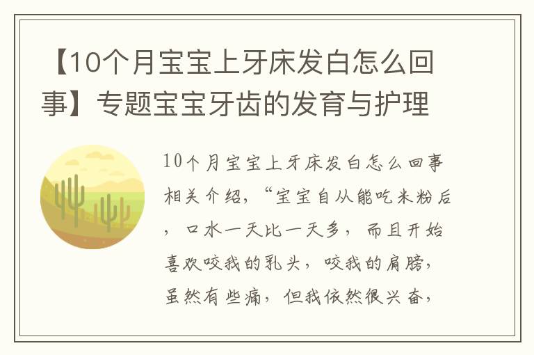 【10個月寶寶上牙床發(fā)白怎么回事】專題寶寶牙齒的發(fā)育與護理（上）