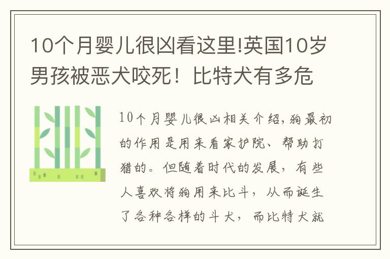 10個月嬰兒很兇看這里!英國10歲男孩被惡犬咬死！比特犬有多危險？被咬了怎么辦？