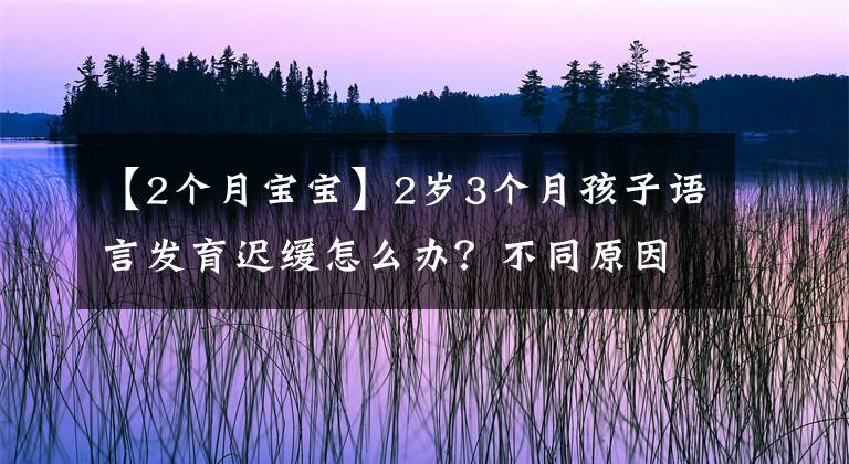 【2個(gè)月寶寶】2歲3個(gè)月孩子語言發(fā)育遲緩怎么辦？不同原因要區(qū)別對待