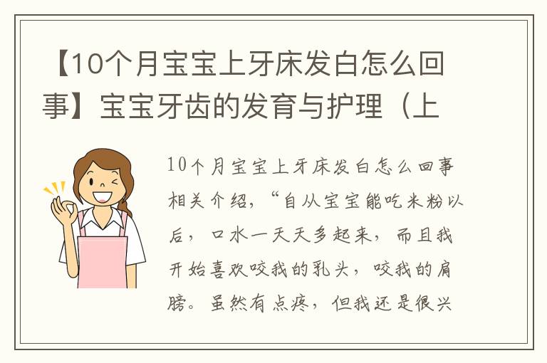 【10個(gè)月寶寶上牙床發(fā)白怎么回事】寶寶牙齒的發(fā)育與護(hù)理（上）