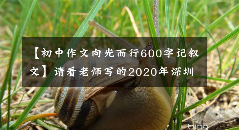 【初中作文向光而行600字記敘文】請看老師寫的2020年深圳市古詩語文作文！你敢試試嗎？