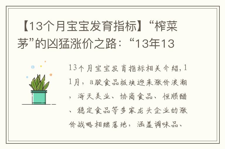 【13個月寶寶發(fā)育指標】“榨菜茅”的兇猛漲價之路：“13年13漲”，成長天花板或至？