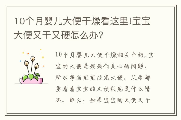 10個月嬰兒大便干燥看這里!寶寶大便又干又硬怎么辦？