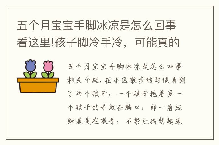 五個月寶寶手腳冰涼是怎么回事看這里!孩子腳冷手冷，可能真的不怪天氣，你給孩子泡過腳嗎？