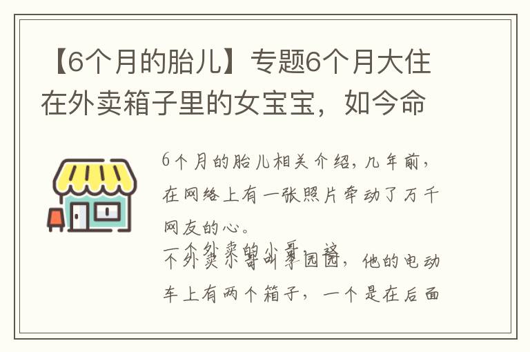 【6個(gè)月的胎兒】專題6個(gè)月大住在外賣箱子里的女寶寶，如今命運(yùn)終于被陽(yáng)光照耀