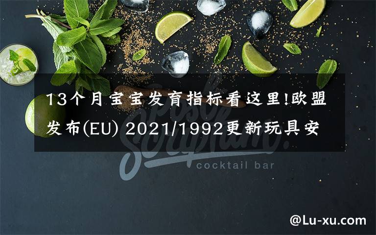 13個月寶寶發(fā)育指標(biāo)看這里!歐盟發(fā)布(EU) 2021/1992更新玩具安全指令2009/48/EC協(xié)調(diào)標(biāo)準(zhǔn)