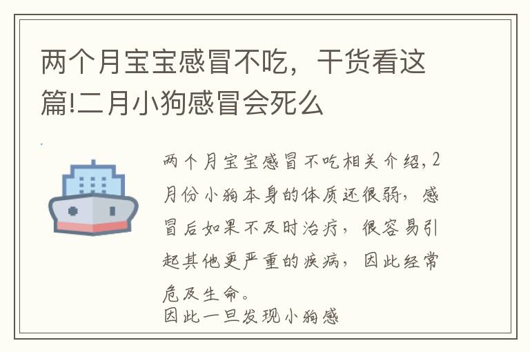 兩個(gè)月寶寶感冒不吃，干貨看這篇!二月小狗感冒會死么