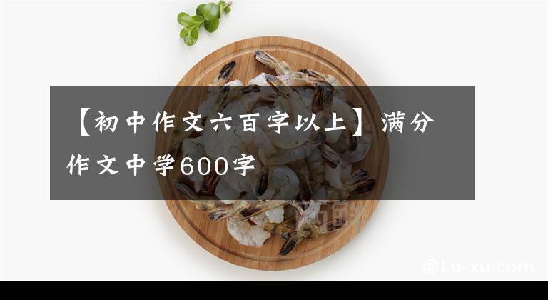 【初中作文六百字以上】滿分作文中學600字