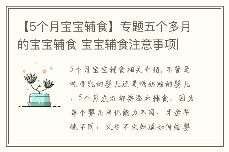 【5個月寶寶輔食】專題五個多月的寶寶輔食 寶寶輔食注意事項|育兒大師