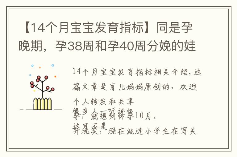 【14個月寶寶發(fā)育指標(biāo)】同是孕晚期，孕38周和孕40周分娩的娃無差別？三個方面區(qū)別很明顯