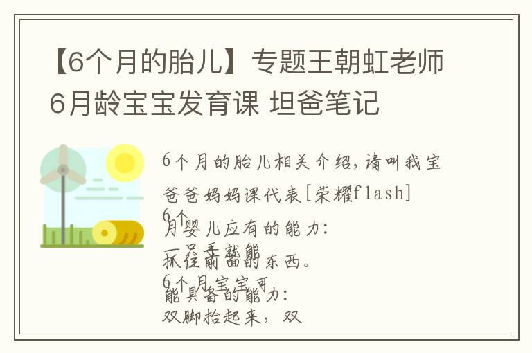 【6個(gè)月的胎兒】專題王朝虹老師 6月齡寶寶發(fā)育課 坦爸筆記