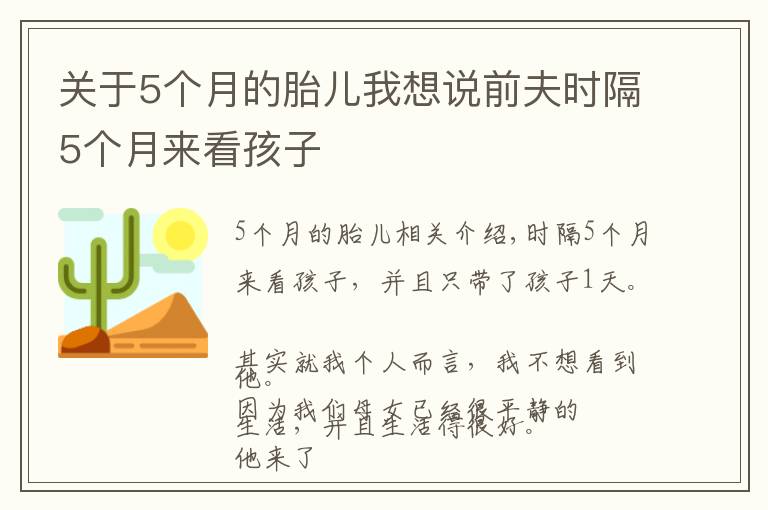 關(guān)于5個(gè)月的胎兒我想說前夫時(shí)隔5個(gè)月來看孩子