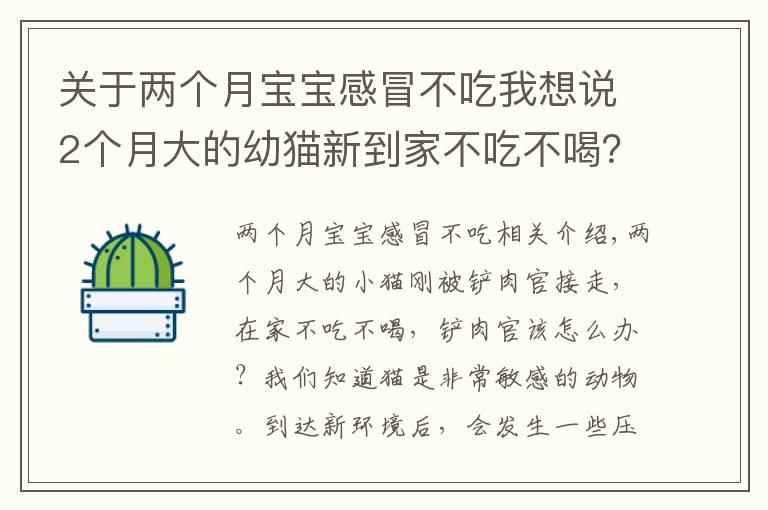 關(guān)于兩個(gè)月寶寶感冒不吃我想說(shuō)2個(gè)月大的幼貓新到家不吃不喝？新環(huán)境的飲食習(xí)慣培養(yǎng)很重要