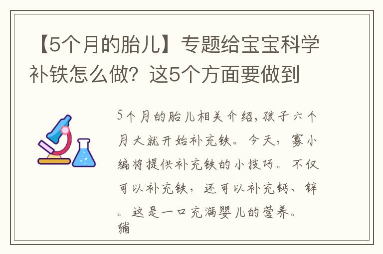 【5個月的胎兒】專題給寶寶科學補鐵怎么做？這5個方面要做到