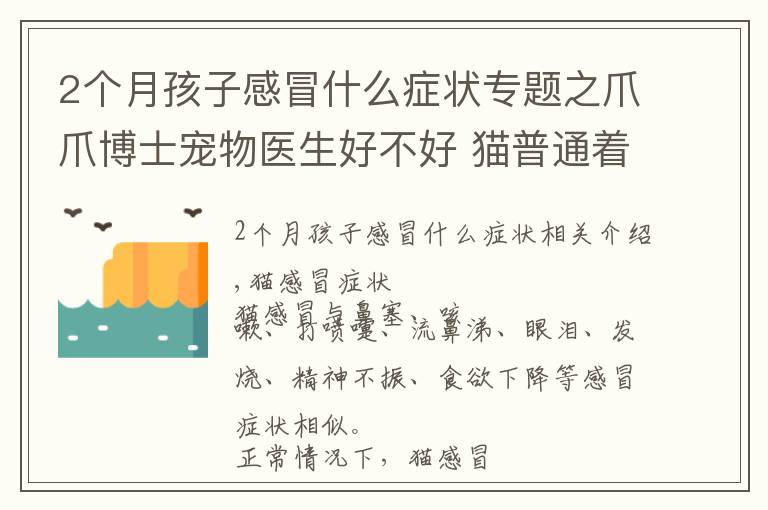 2個(gè)月孩子感冒什么癥狀專(zhuān)題之爪爪博士寵物醫(yī)生好不好 貓普通著涼感冒有什么癥狀