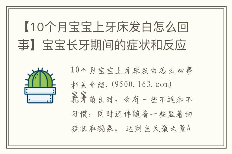 【10個(gè)月寶寶上牙床發(fā)白怎么回事】寶寶長(zhǎng)牙期間的癥狀和反應(yīng)